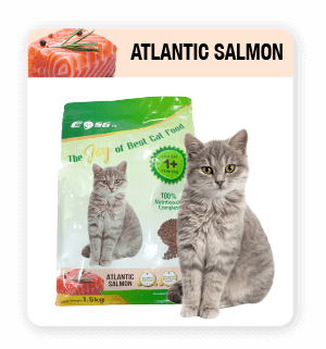 Cat Food Salmon